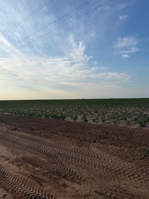 155.78 acres in Lubbock County - photo 11