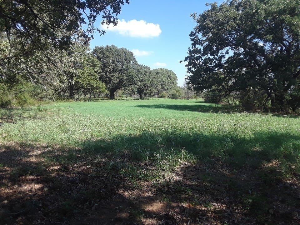 7 acres in Hill County