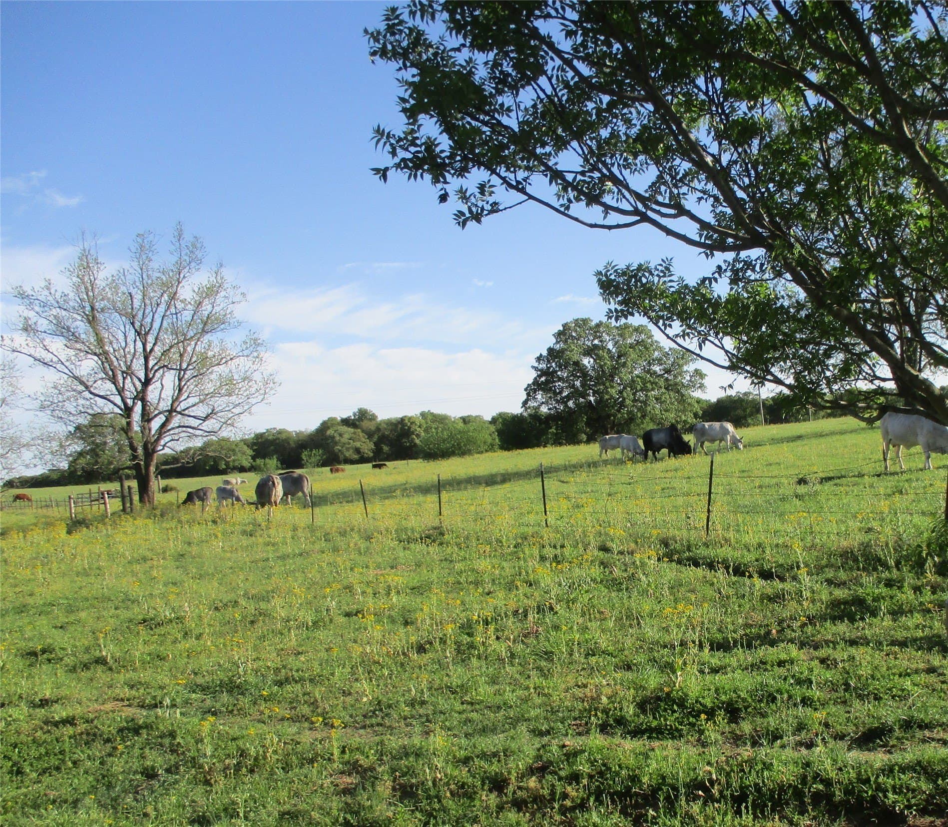 7 acres in Hill County - photo 6