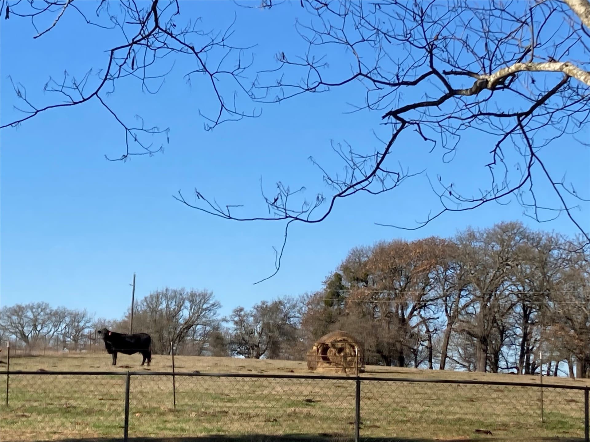 7 acres in Hill County featured view
