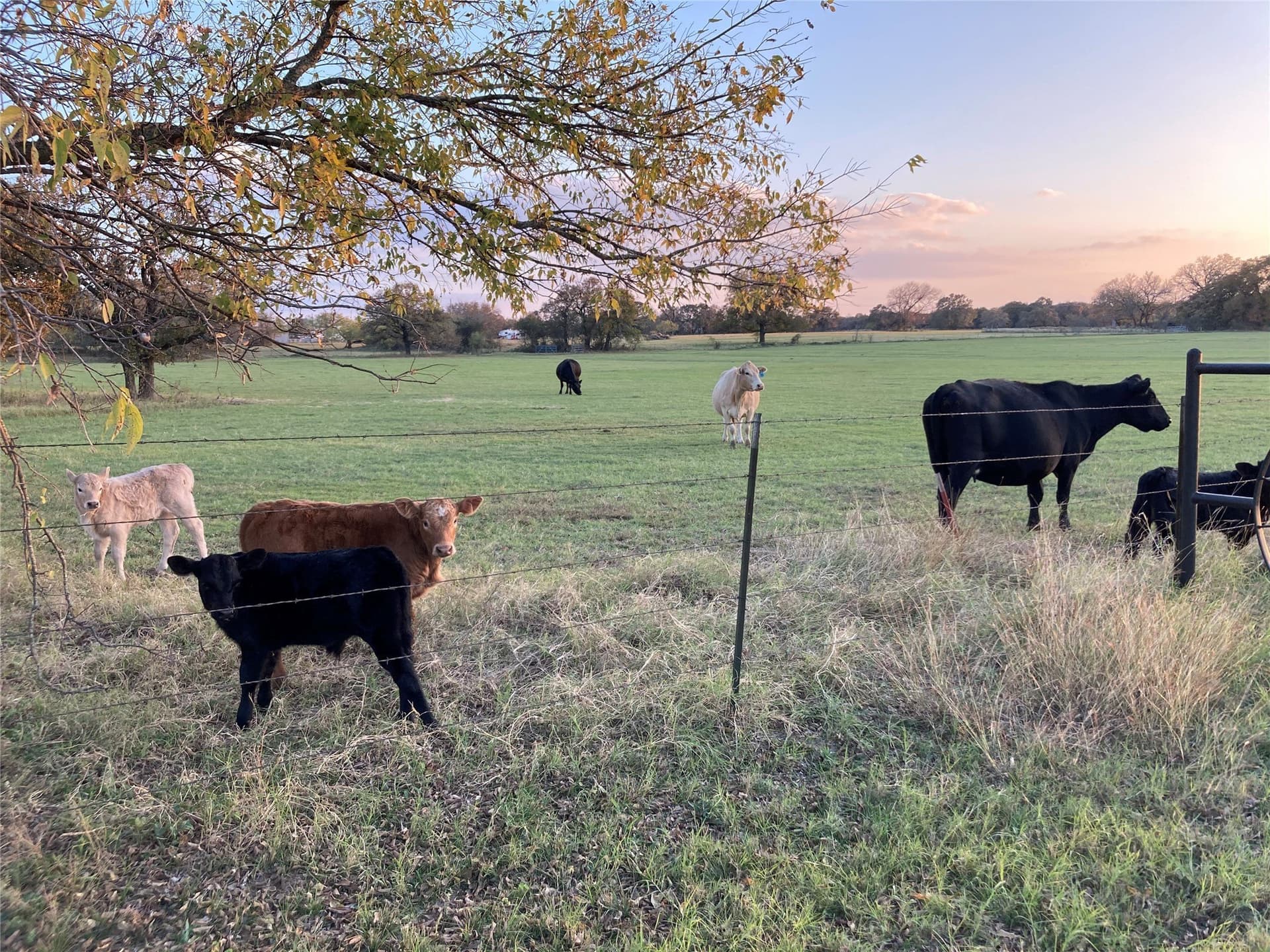 7 acres in Hill County - photo 13