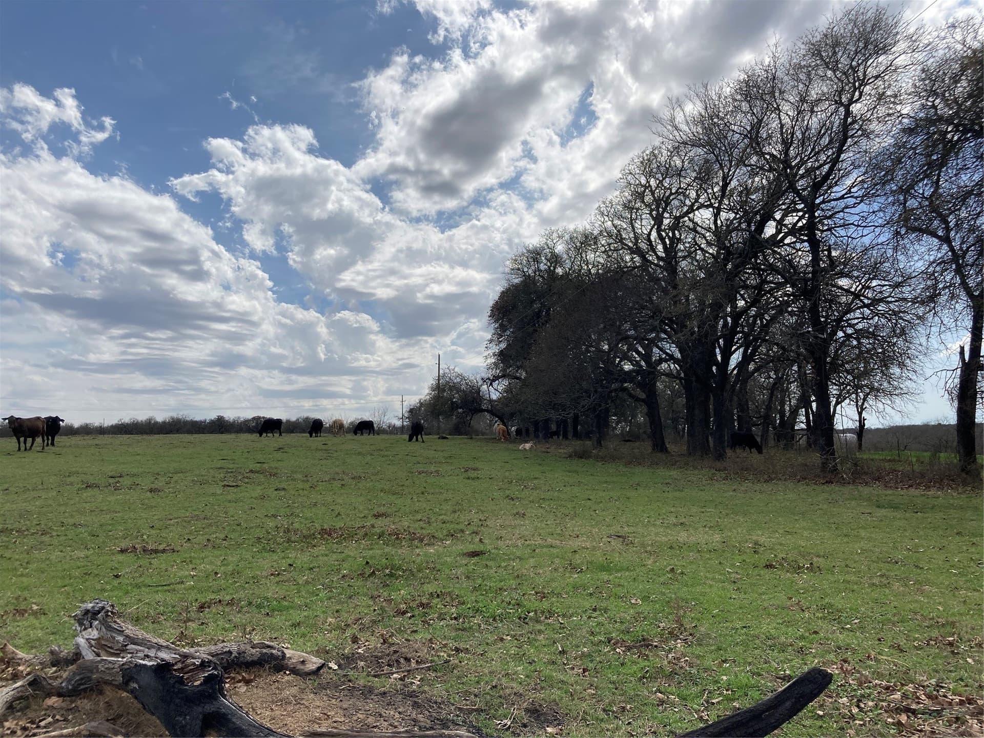 7 acres in Hill County - photo 15