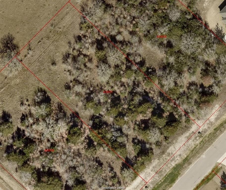 1.02 acres in Brazos County gallery image 4