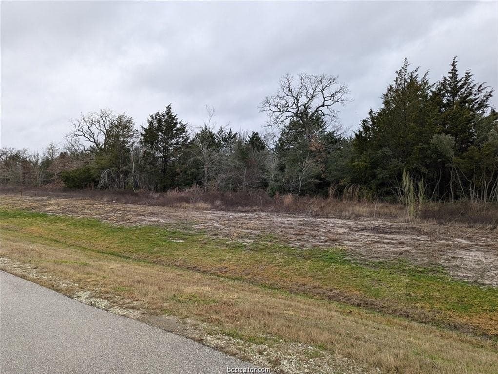 1.02 acres in Brazos County gallery image 3