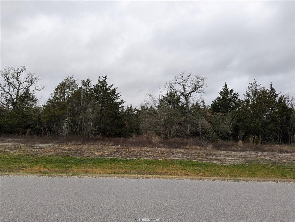 1.02 acres in Brazos County gallery image 2