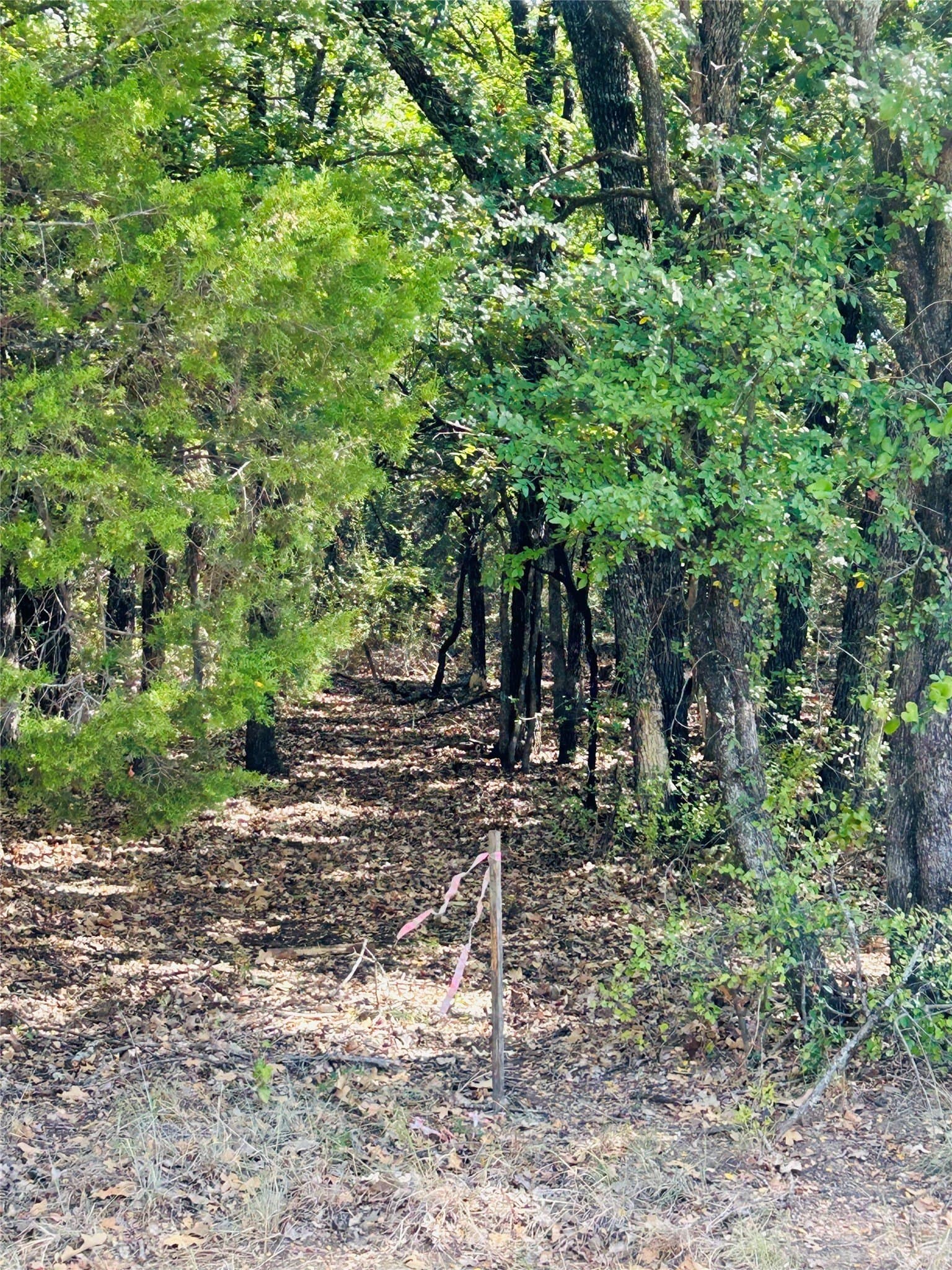0.26 acres in Hill County - photo 2