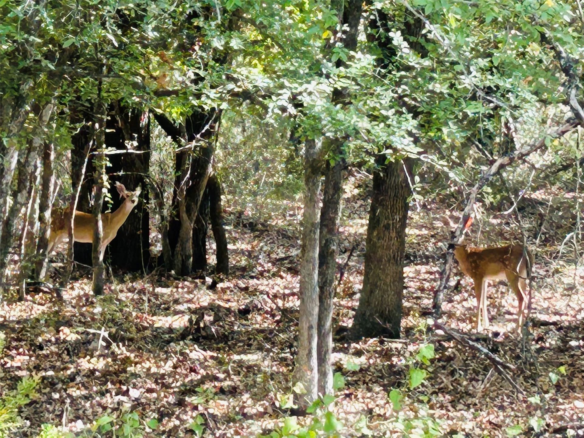 0.26 acres in Hill County