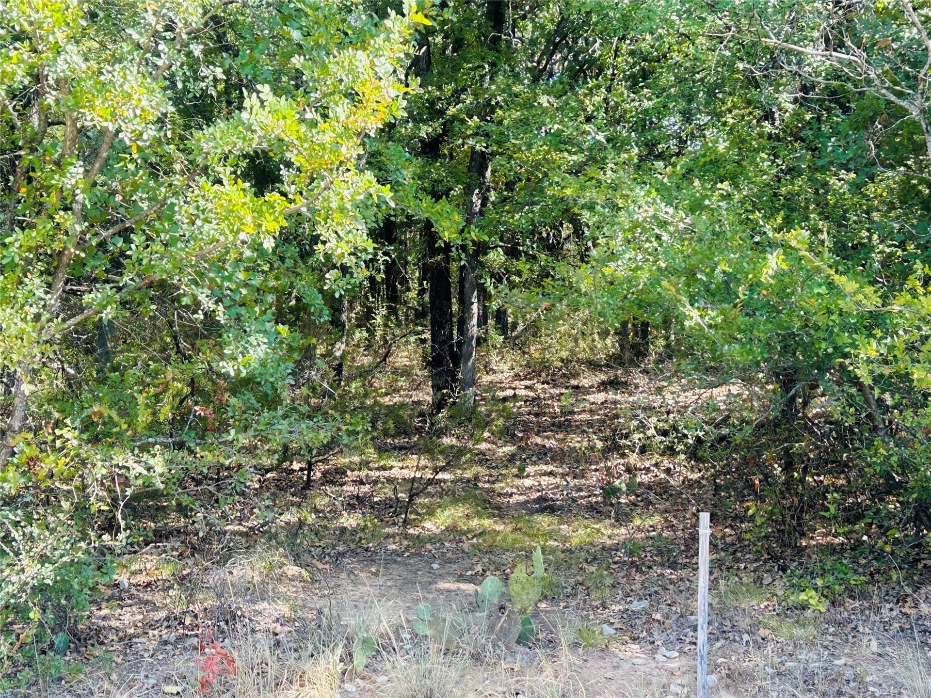 0.26 acres in Hill County - photo 3
