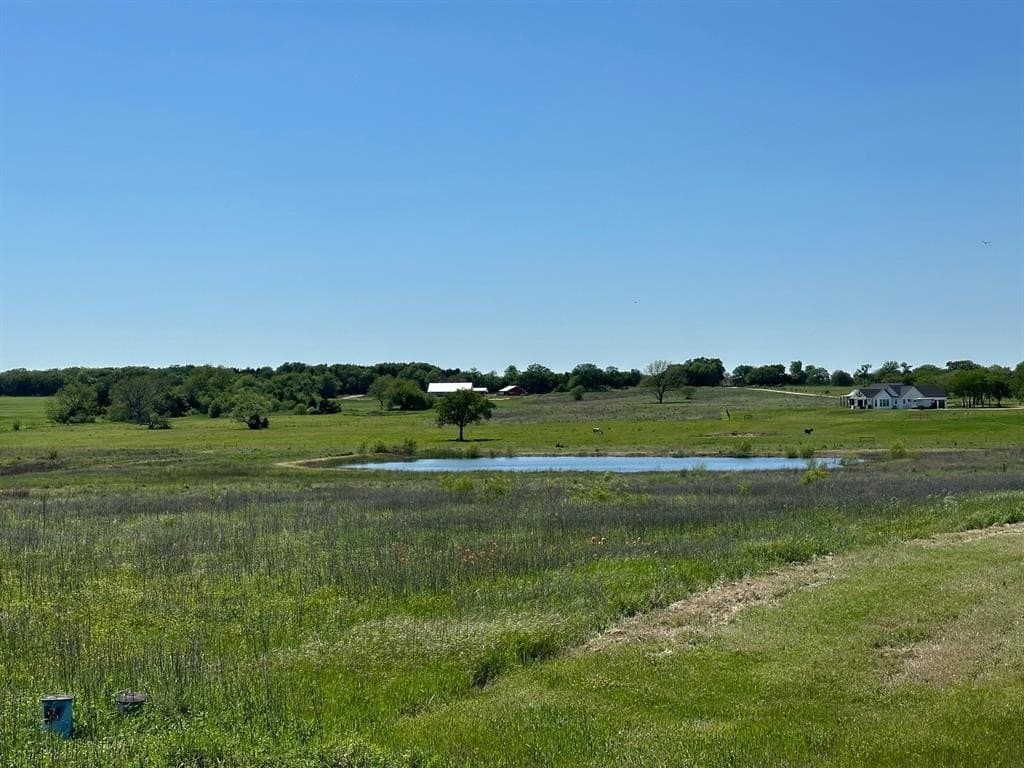 11 acres in Cooke County gallery image 3
