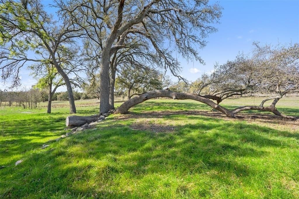 25 acres in Blanco County - photo 10