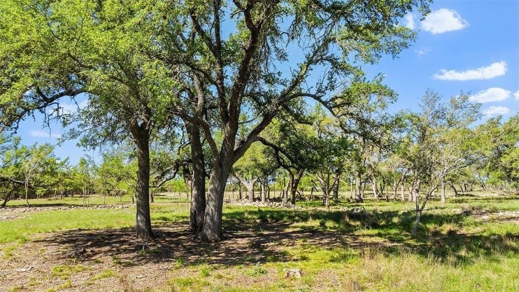 25 acres in Blanco County - photo 11