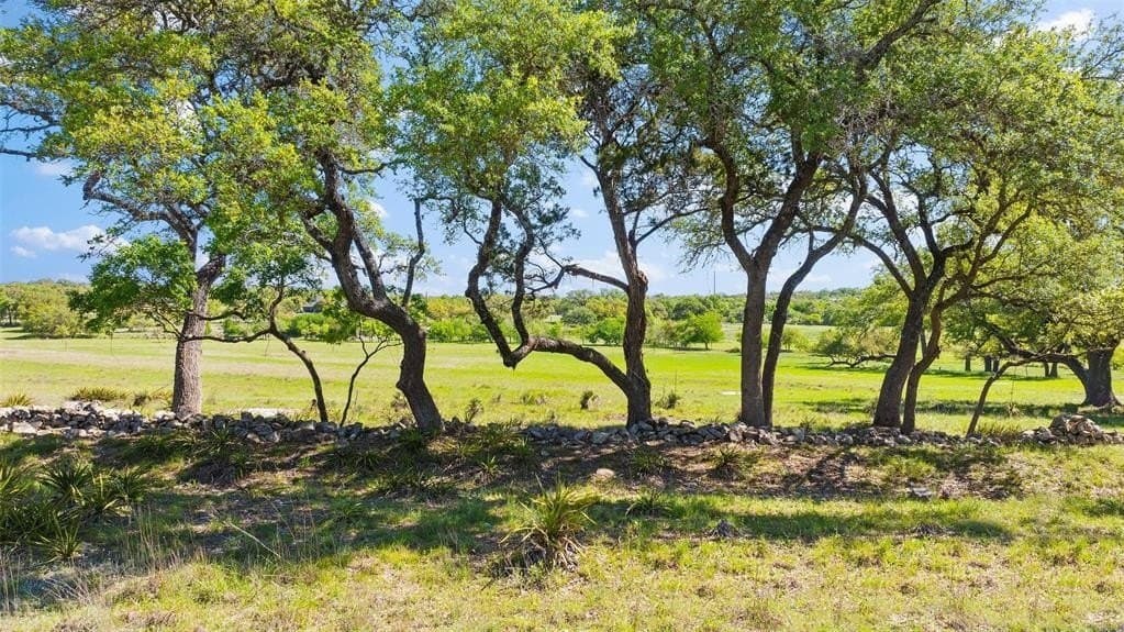 25 acres in Blanco County - photo 8