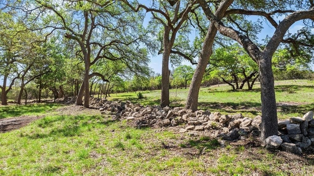 25 acres in Blanco County - photo 7