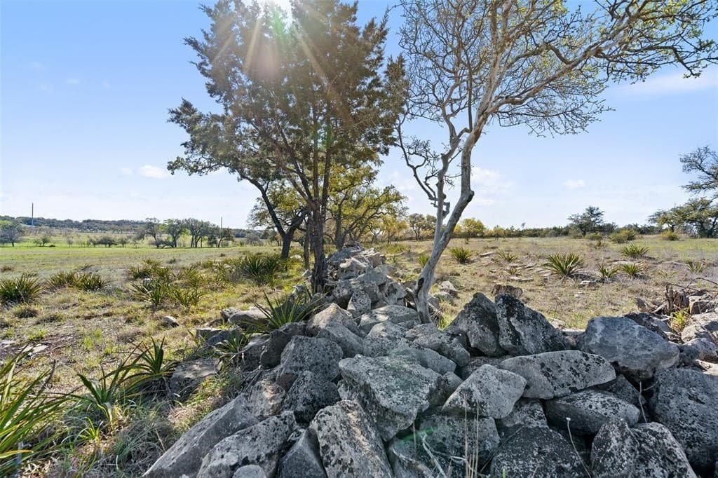 25 acres in Blanco County gallery image 4