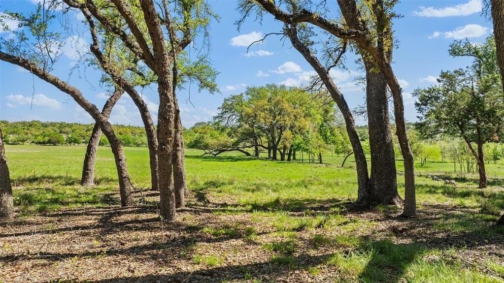 25 acres in Blanco County featured view