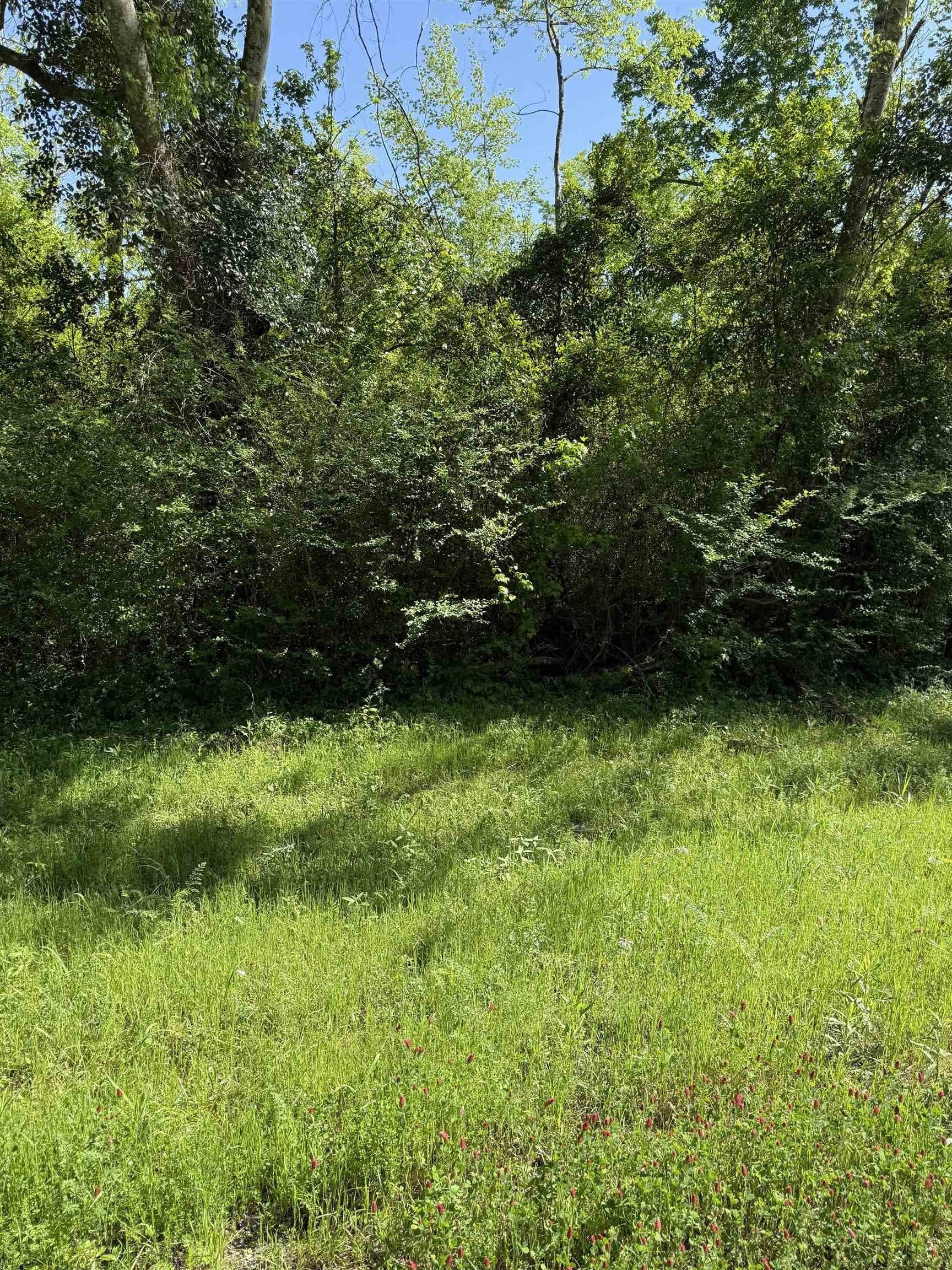 3 acres in Rusk County gallery image 2