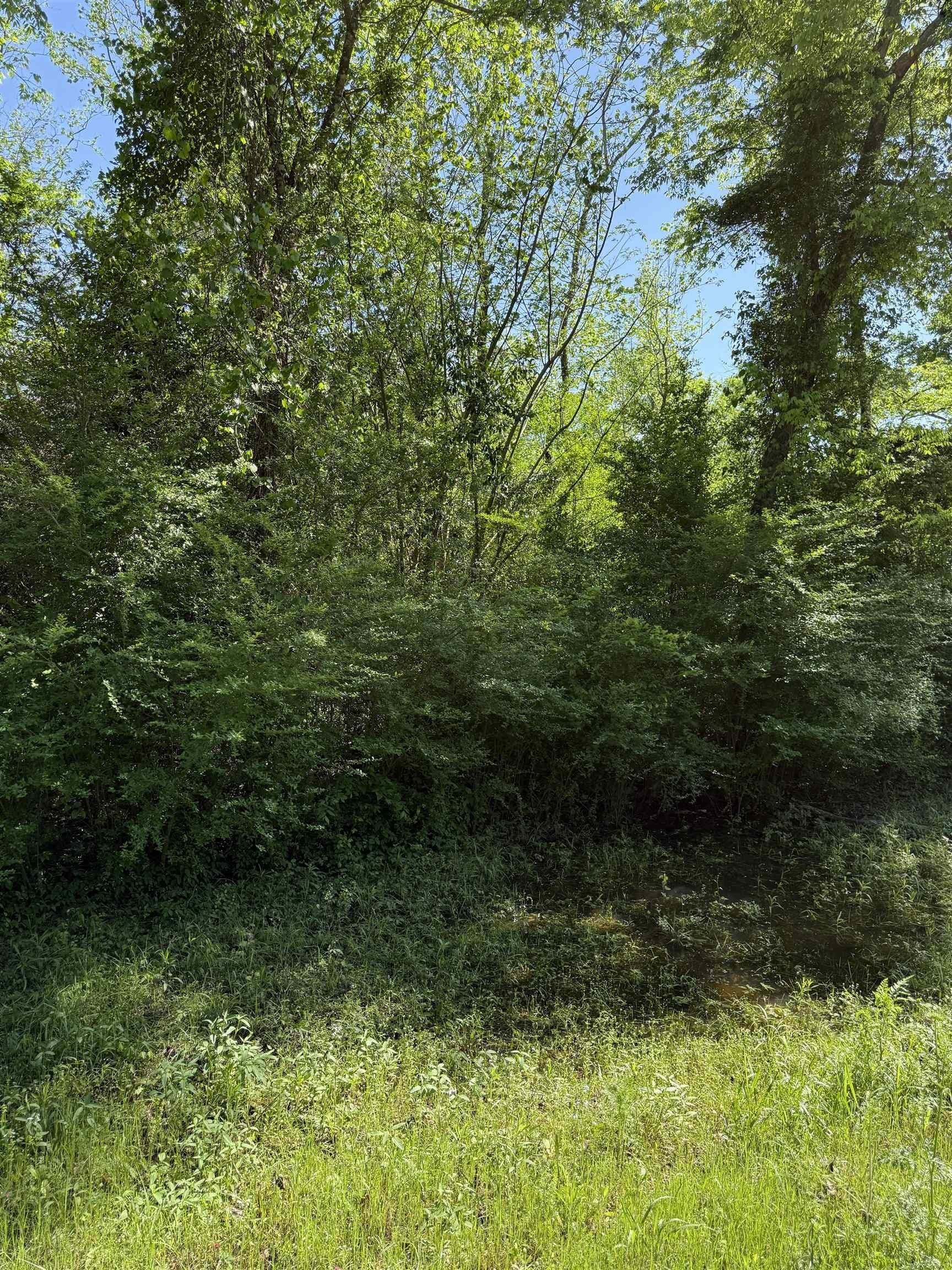 3 acres in Rusk County gallery image 3