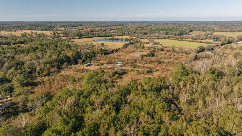 23.5 acres in Texas County - photo 6
