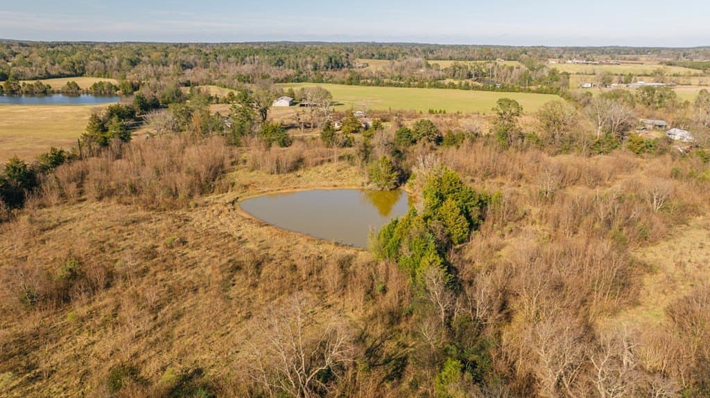 23.5 acres in Texas County - photo 10