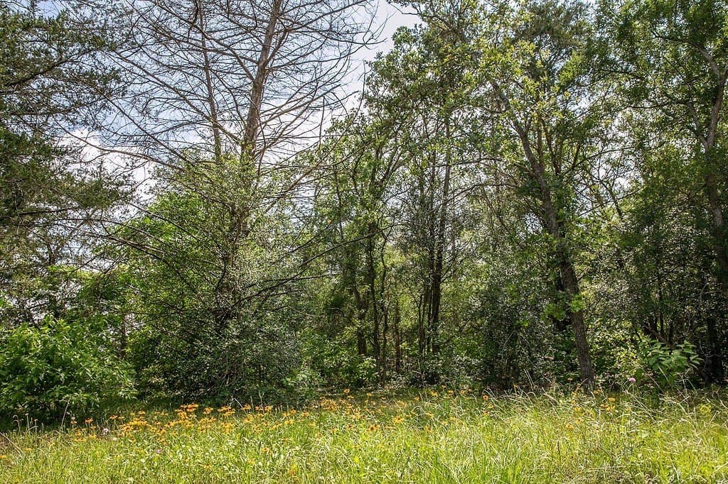 2.5 acres in Washington County gallery image 2
