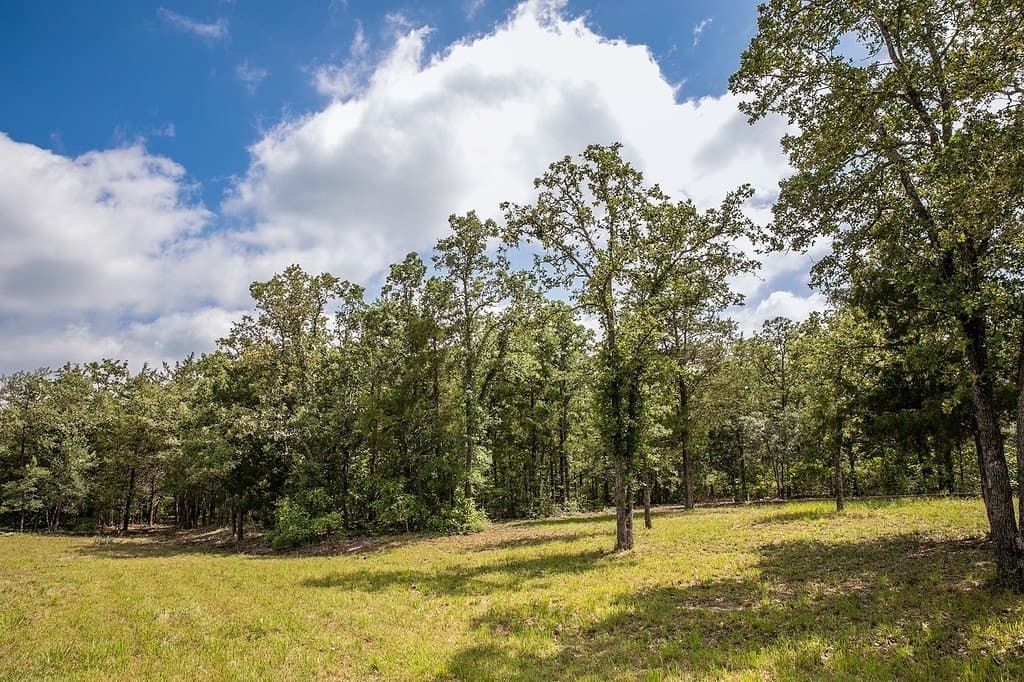 2.5 acres in Washington County - photo 22