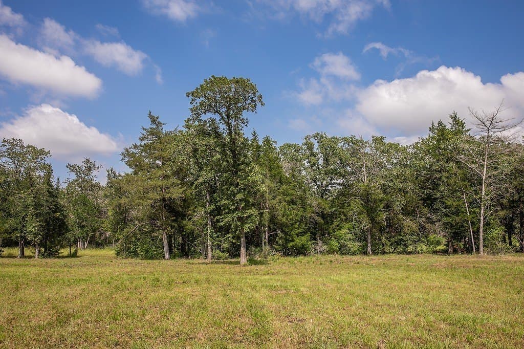 2.5 acres in Washington County - photo 20
