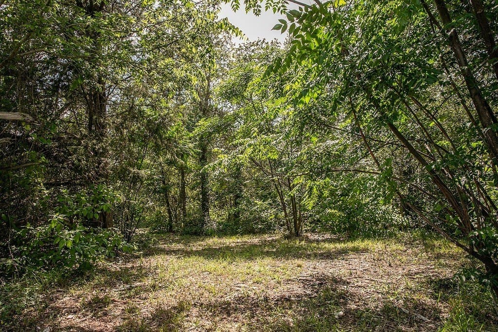 2.5 acres in Washington County - photo 17