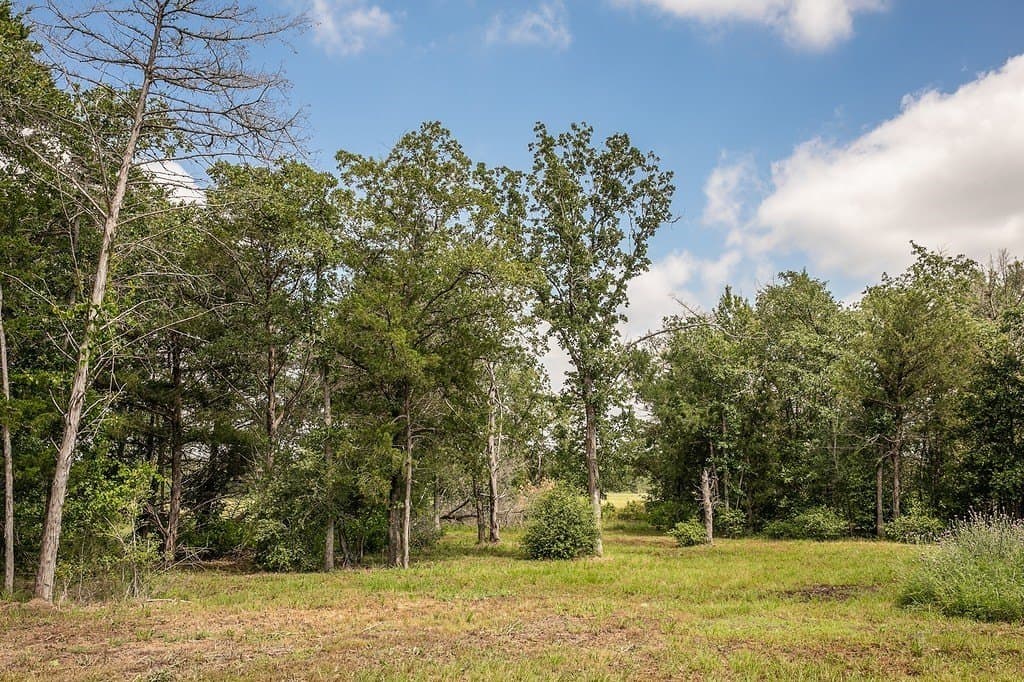 2.5 acres in Washington County - photo 19