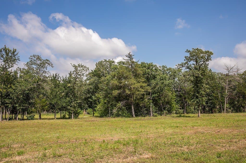 2.5 acres in Washington County gallery image 3