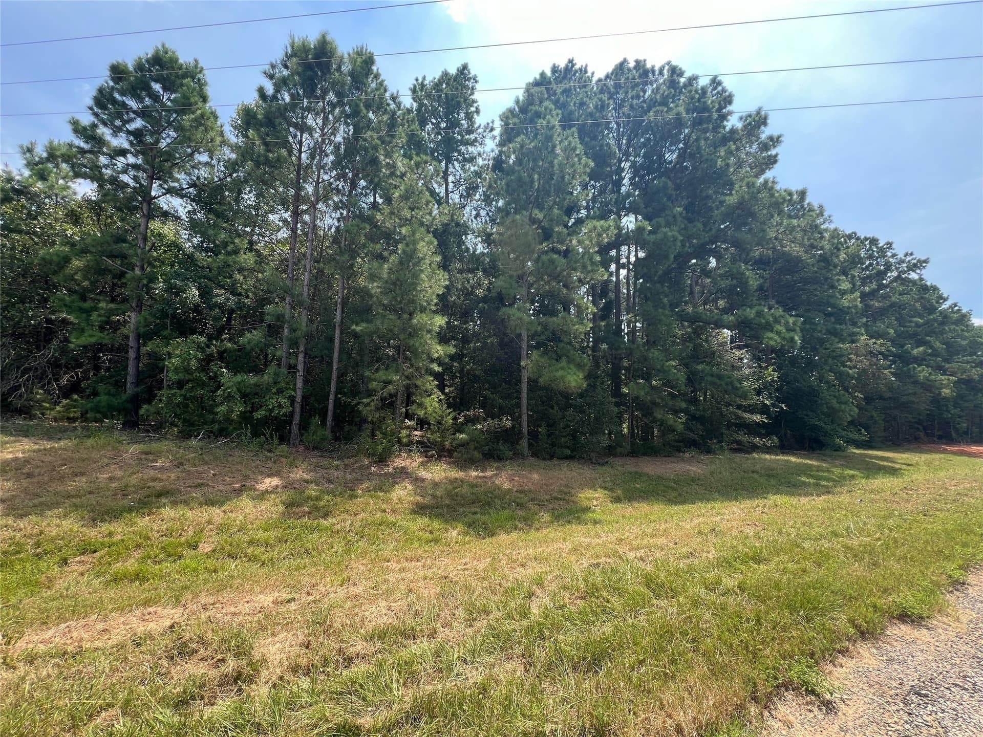 10 acres in Camp County