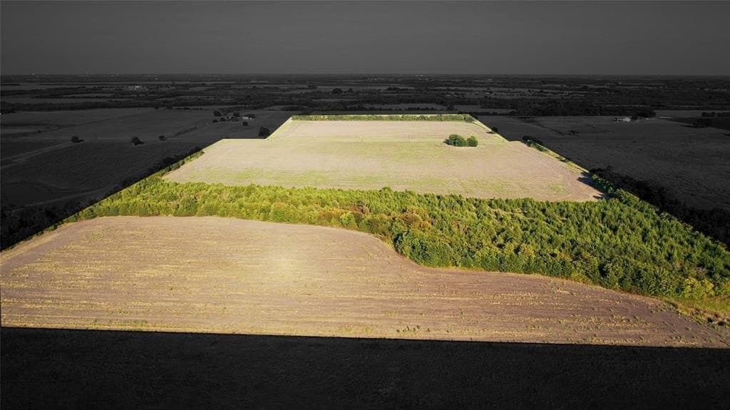 108 acres in Lamar County gallery image 2
