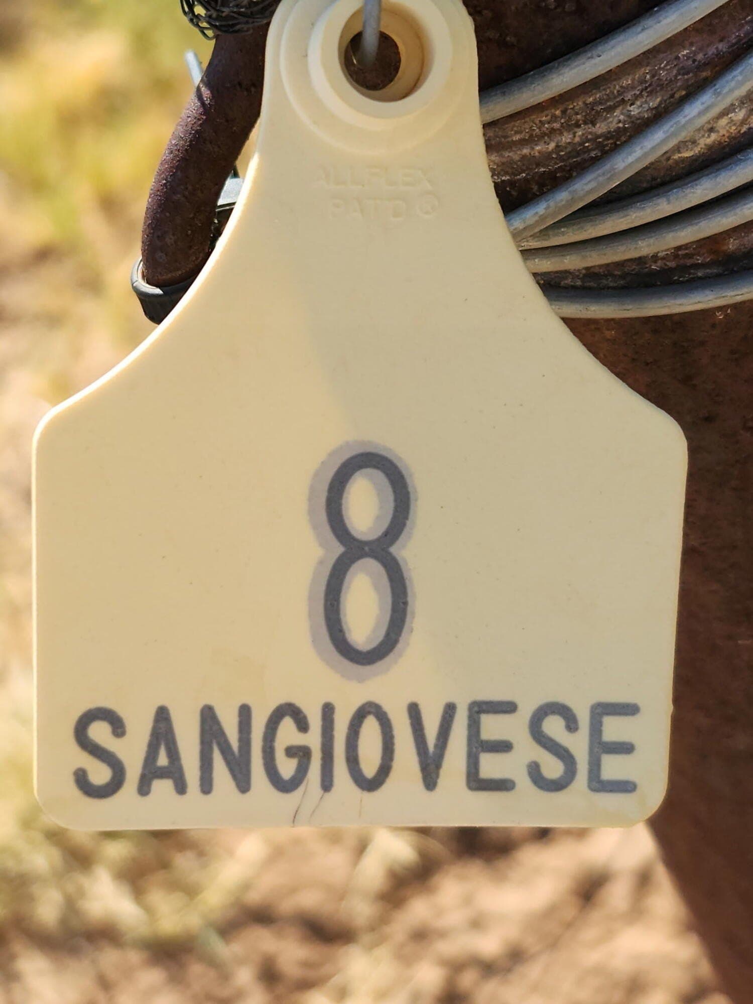 20 acres in Lynn County gallery image 4