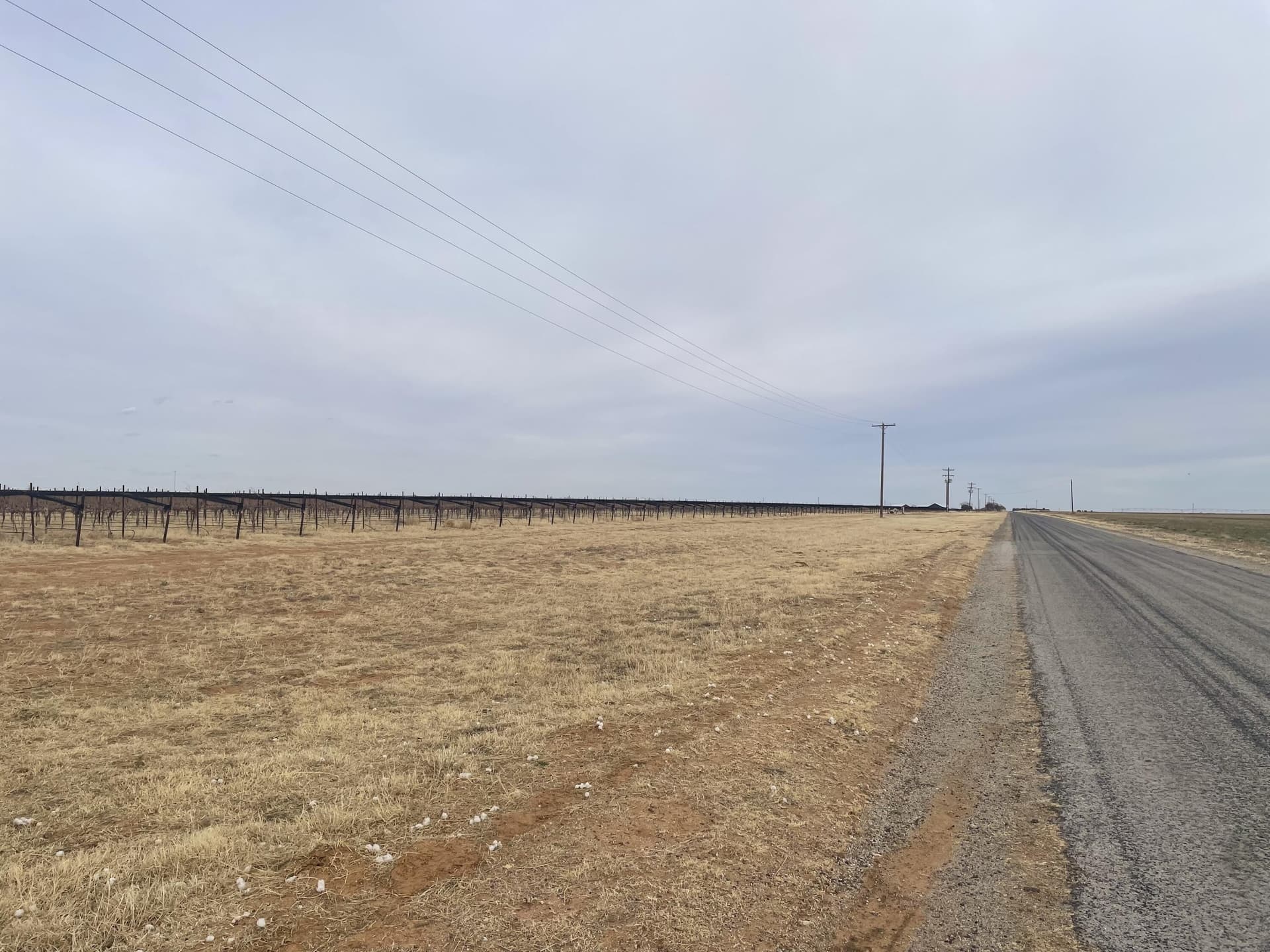 20 acres in Lynn County gallery image 3