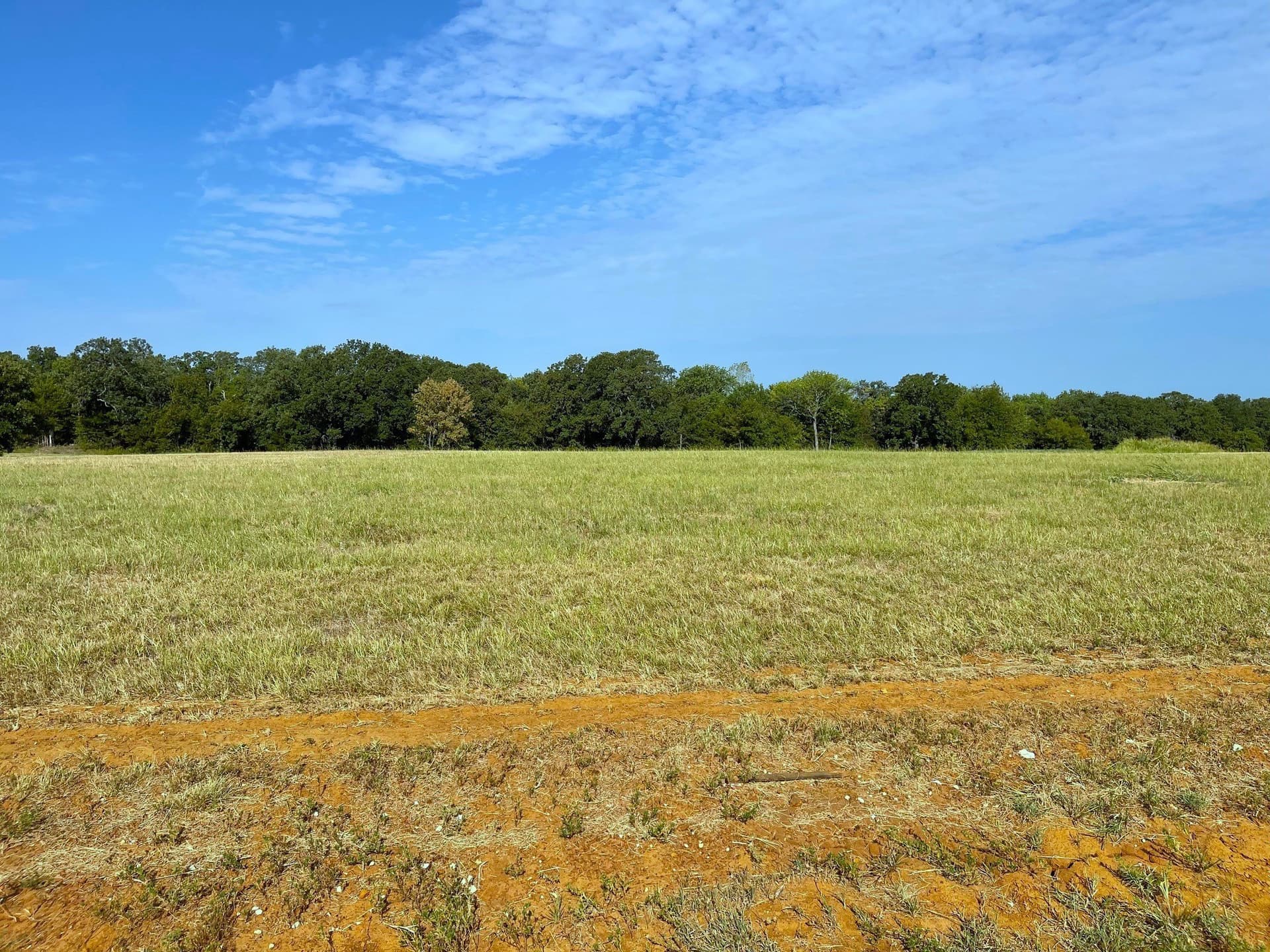 0.17 acres in Grayson County gallery image 3