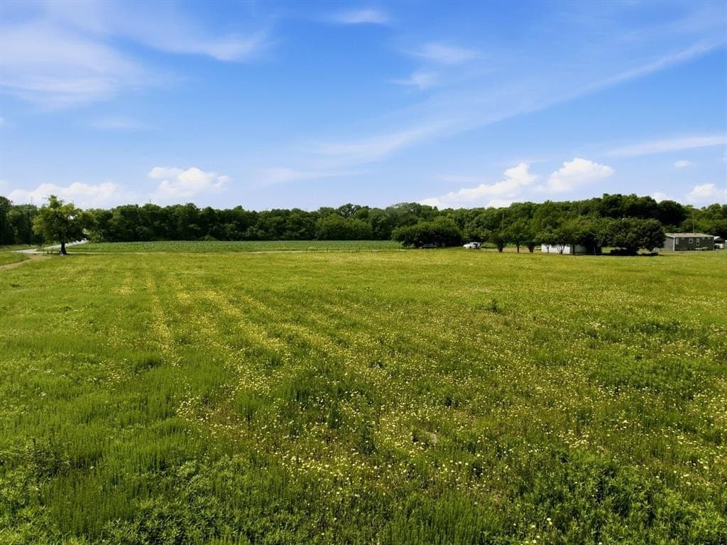 4 acres in Collin County gallery image 3