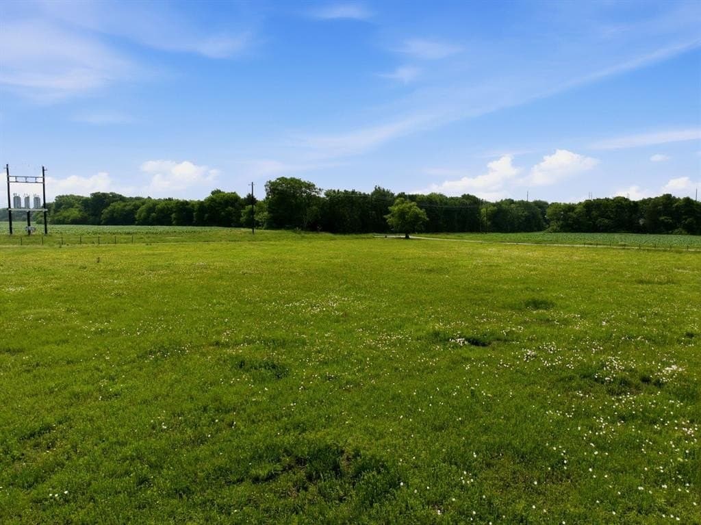4 acres in Collin County gallery image 4
