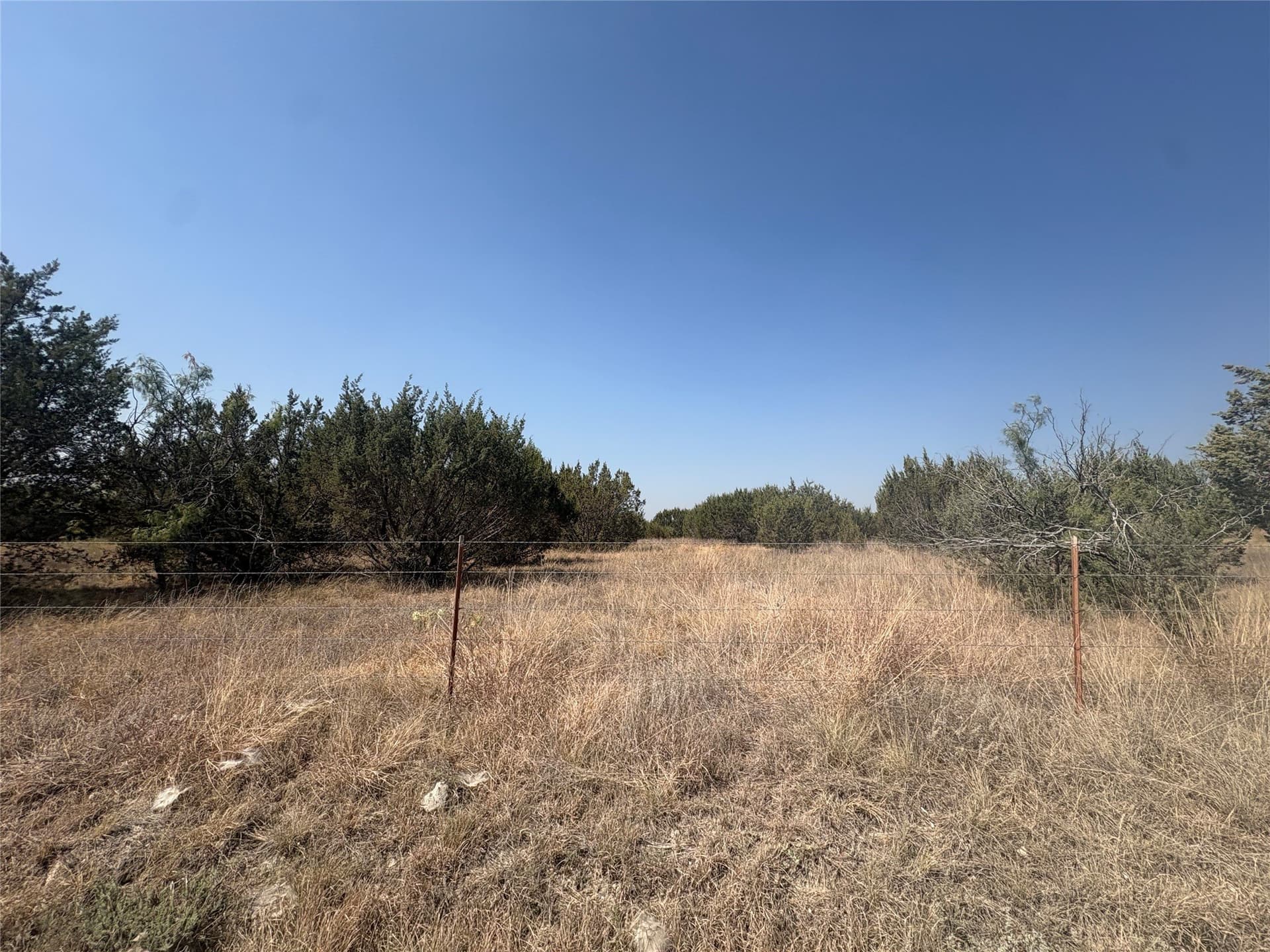 56.36 acres in Erath County - photo 9