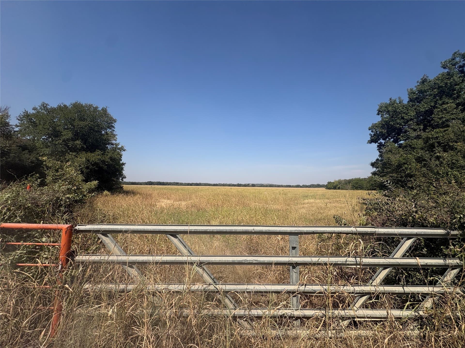 56.36 acres in Erath County - photo 7