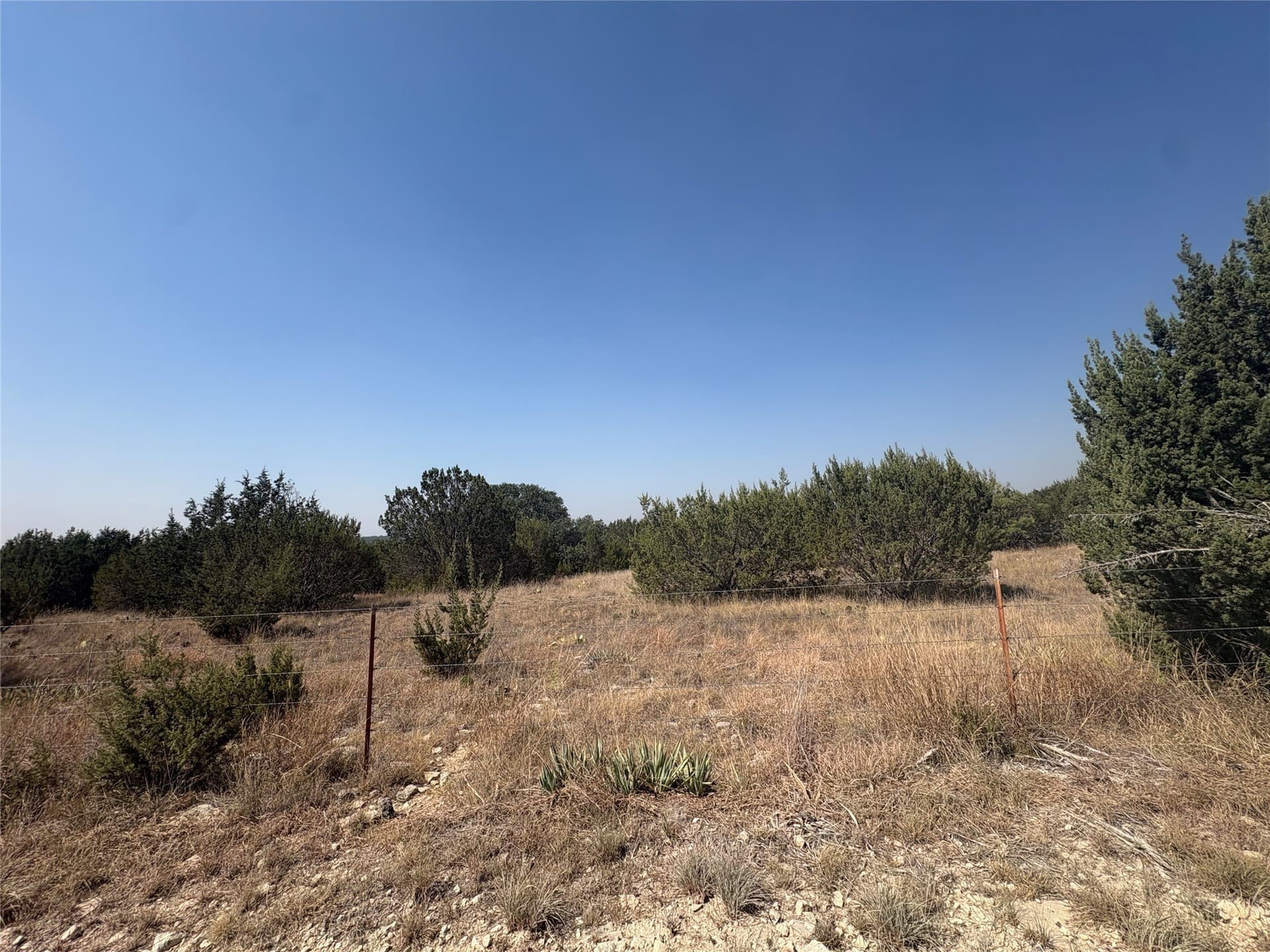 56.36 acres in Erath County - photo 8