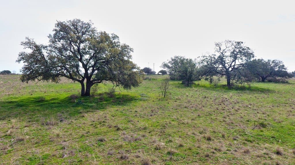 8.4 acres in Llano County - photo 17