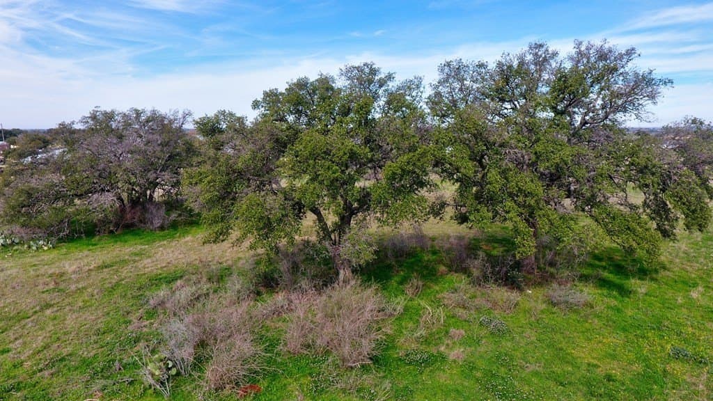 8.4 acres in Llano County - photo 13