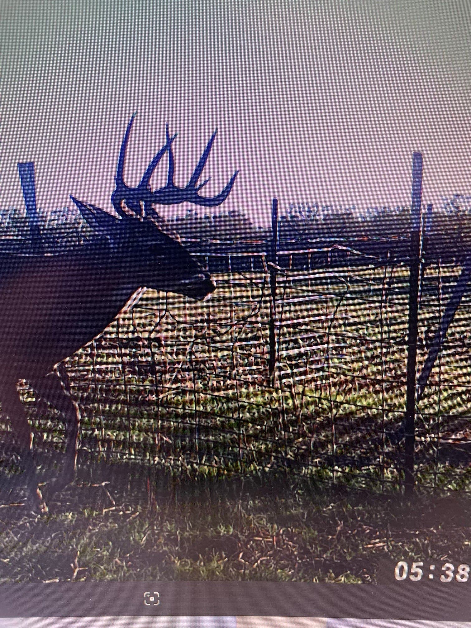 198.44 acres in Haskell County - photo 37