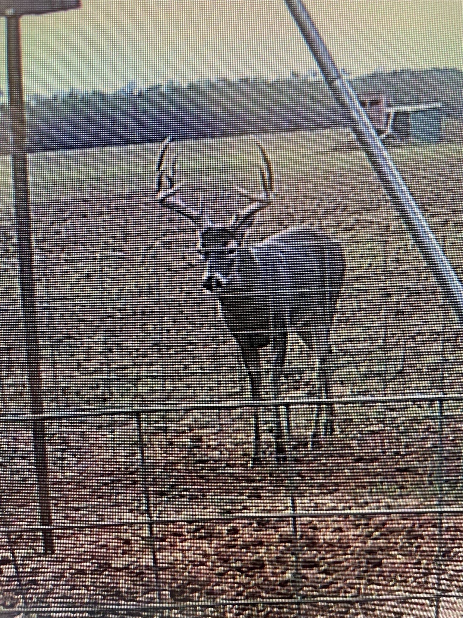 198.44 acres in Haskell County - photo 39
