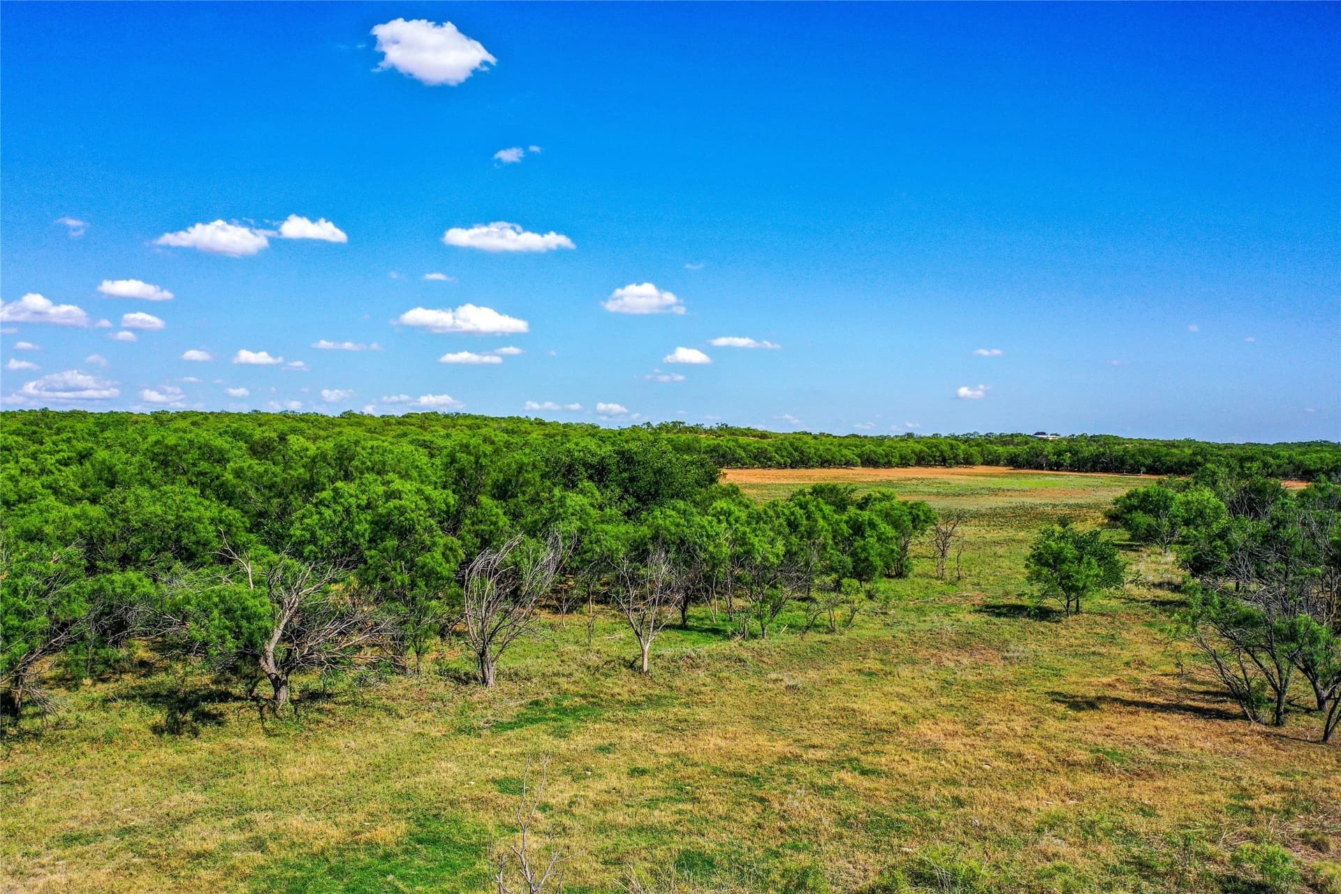 198.44 acres in Haskell County - photo 29