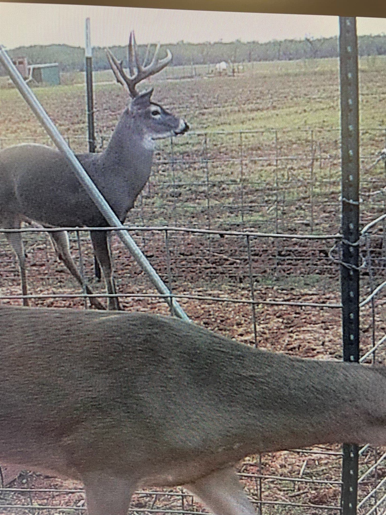 198.44 acres in Haskell County - photo 36