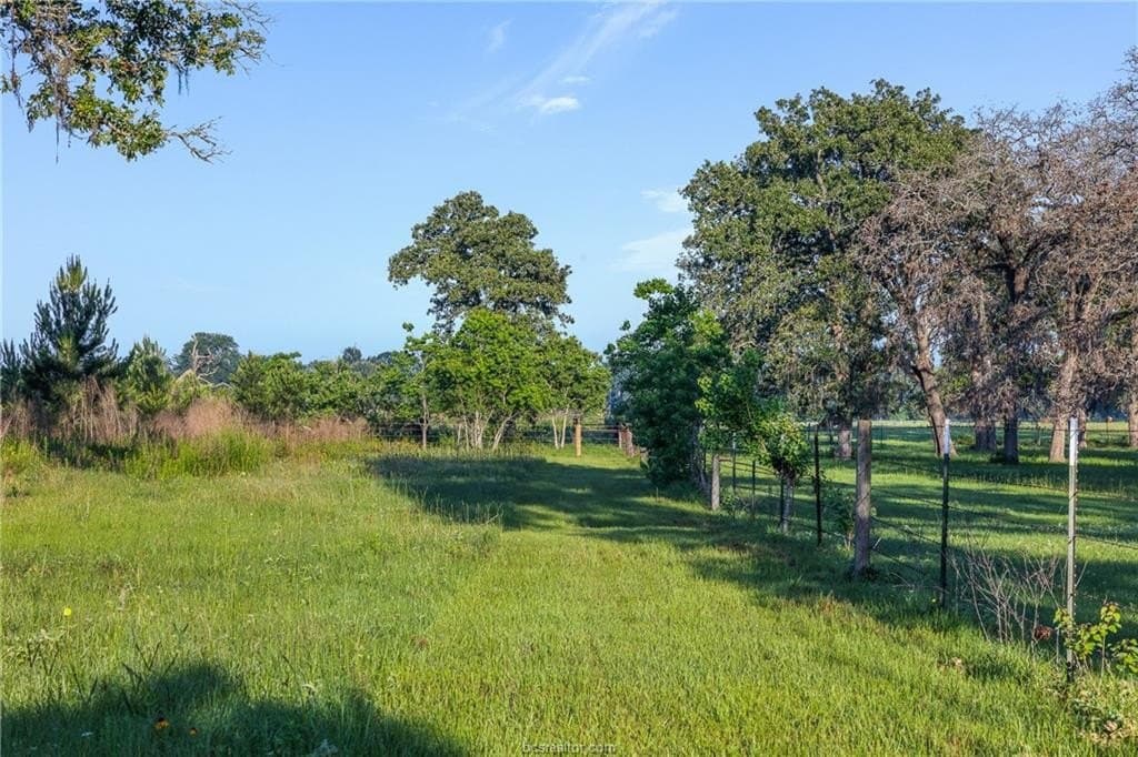 5 acres in Waller County - photo 8