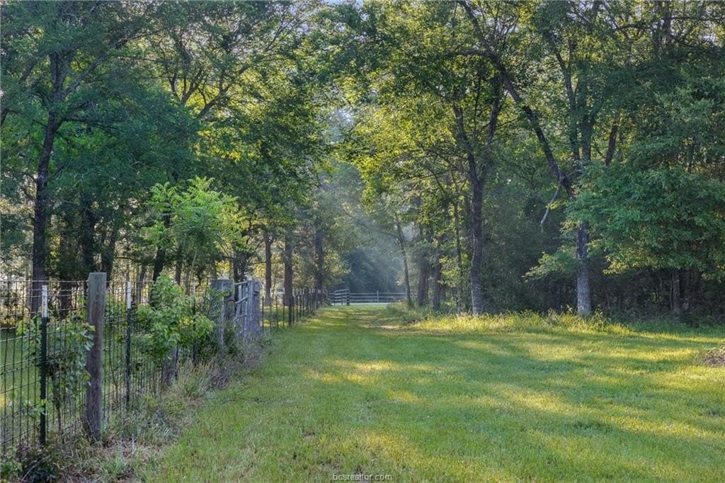 5 acres in Waller County - photo 10