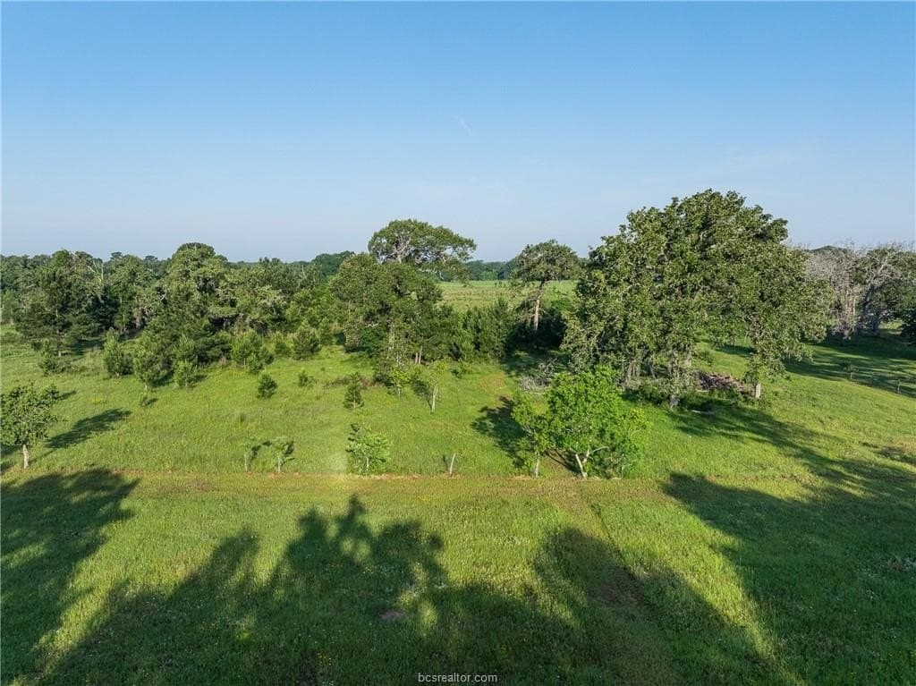 5 acres in Waller County - photo 19