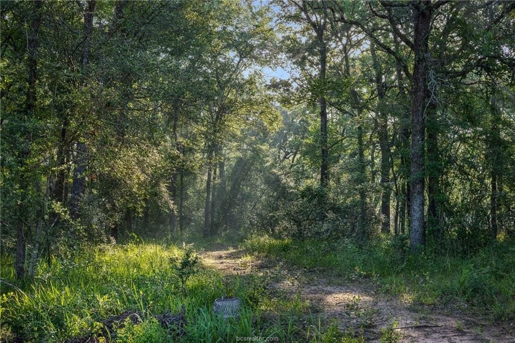 5 acres in Waller County - photo 11