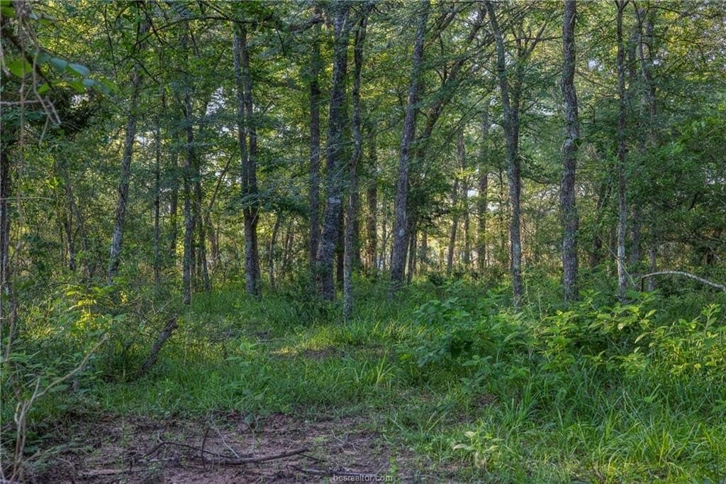 5 acres in Waller County - photo 6